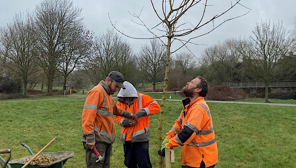 Broughton & Middleton Tree Planting 1022 X 580