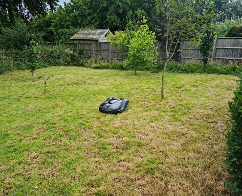 Five Areas of Grass, One Automower®